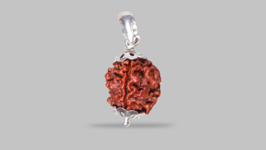 4 MUKHI RUDRAKSHA (17.65 mm)