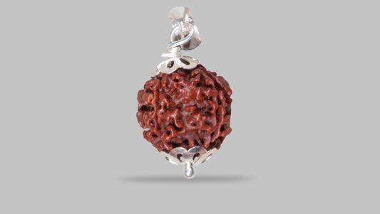 4 MUKHI RUDRAKSHA (18.75 mm)