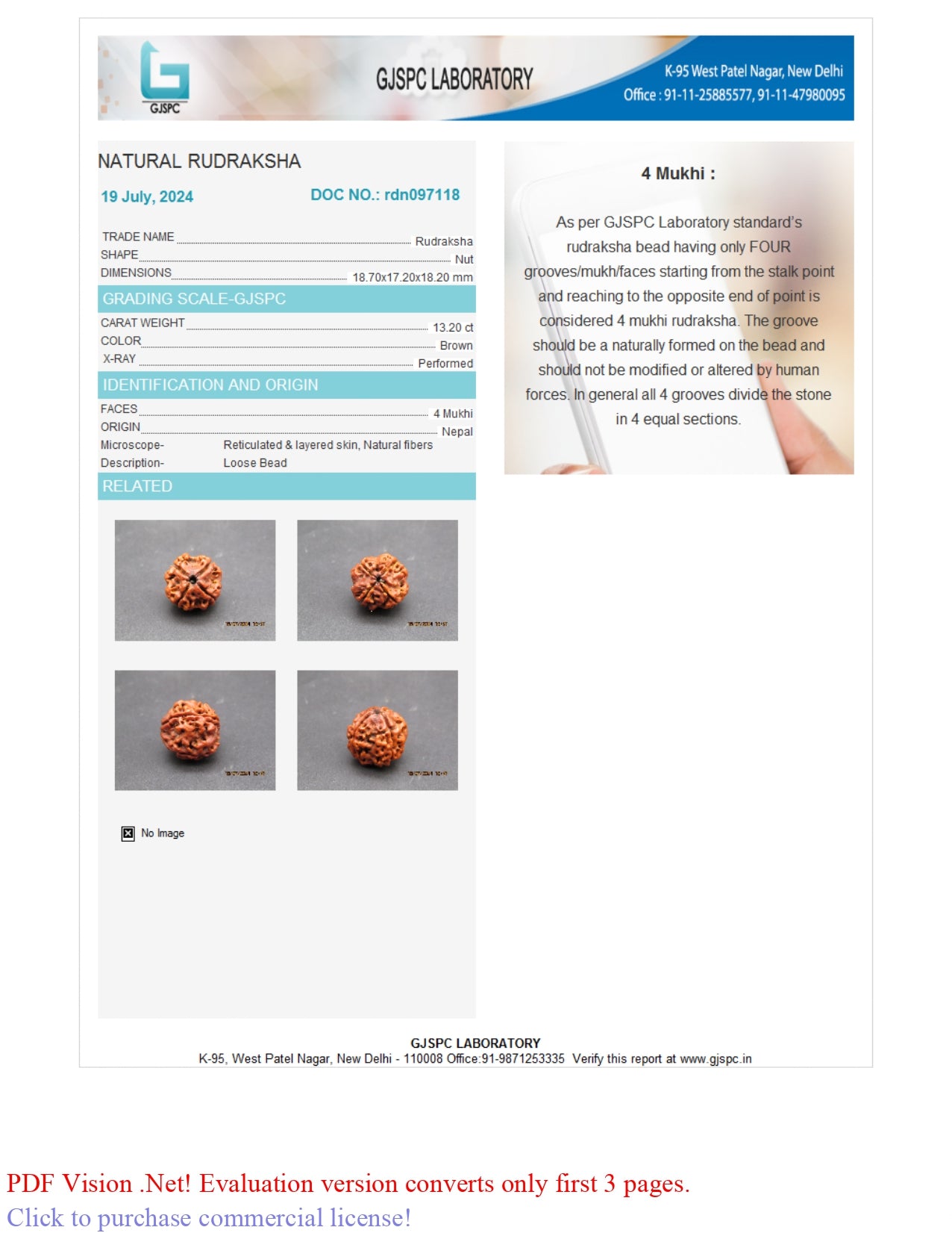 4 MUKHI RUDRAKSHA (18.70 mm)
