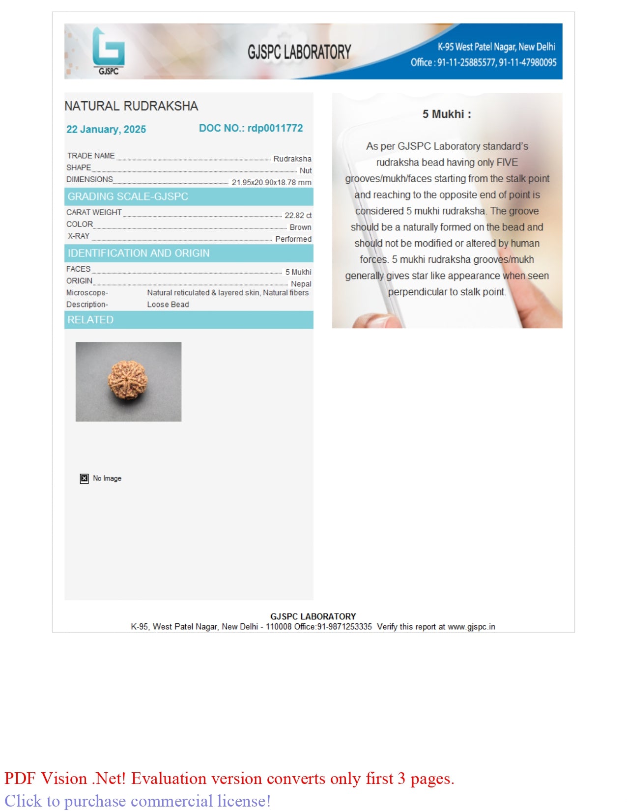 5 MUKHI RUDRAKSHA (21.95 mm)
