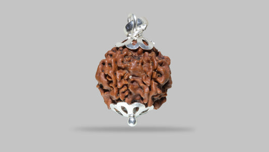 5 MUKHI RUDRAKSHA (19.18 mm)