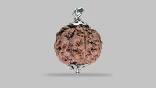5 MUKHI RUDRAKSHA (22.85 mm)