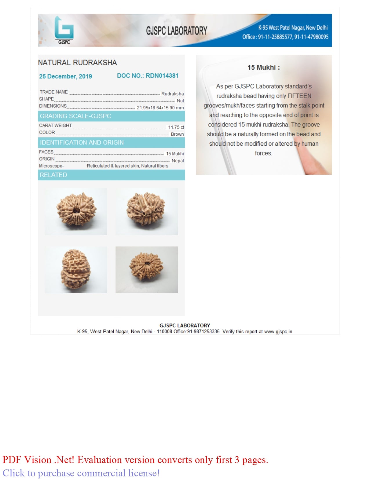 15 MUKHI RUDRAKSHA (21.95 mm)