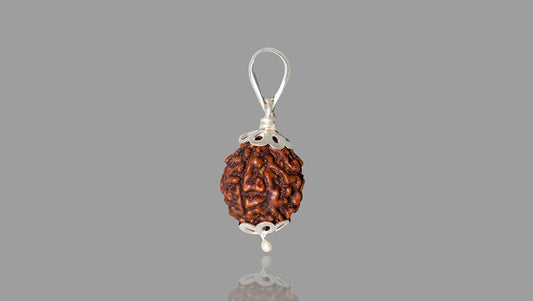 4 MUKHI RUDRAKSHA (20.01 mm)