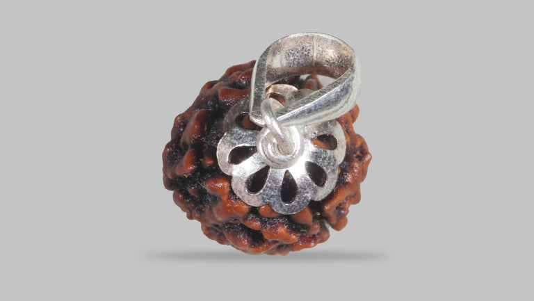 3 MUKHI RUDRAKSHA (20.81 mm)