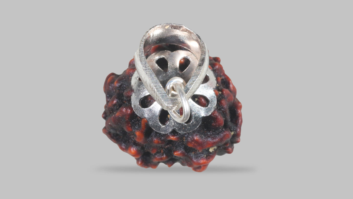 3 MUKHI RUDRAKSHA (21.15 mm)