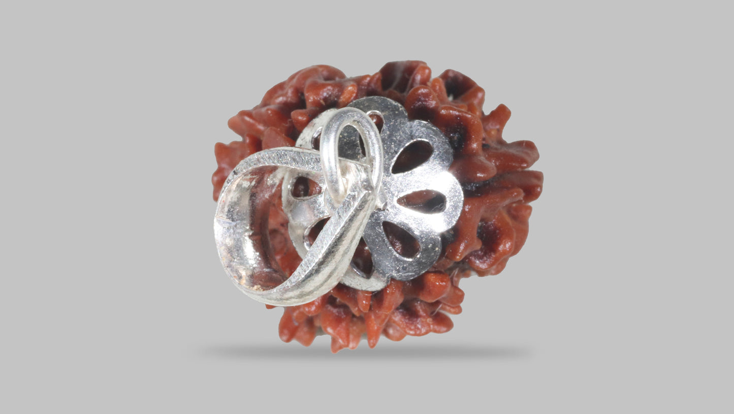 3 MUKHI RUDRAKSHA (22.86 mm)