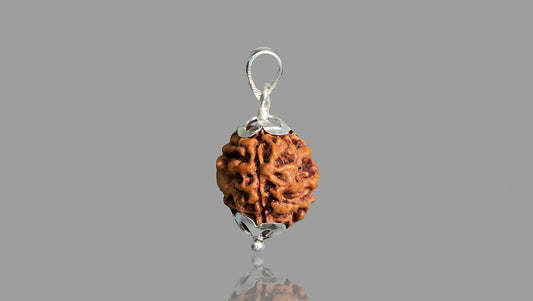 3 MUKHI RUDRAKSHA (19.72 mm)