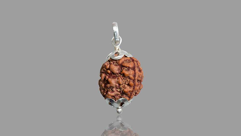 3 MUKHI RUDRAKSHA (21.31 mm)