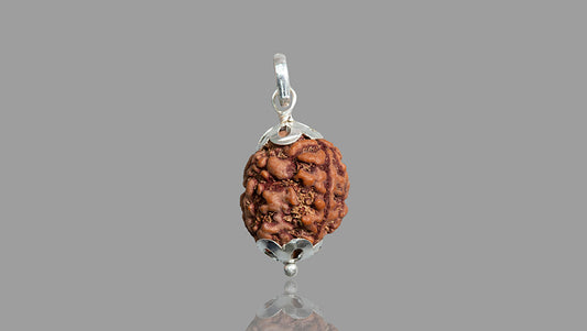 3 MUKHI RUDRAKSHA (21.31 mm)