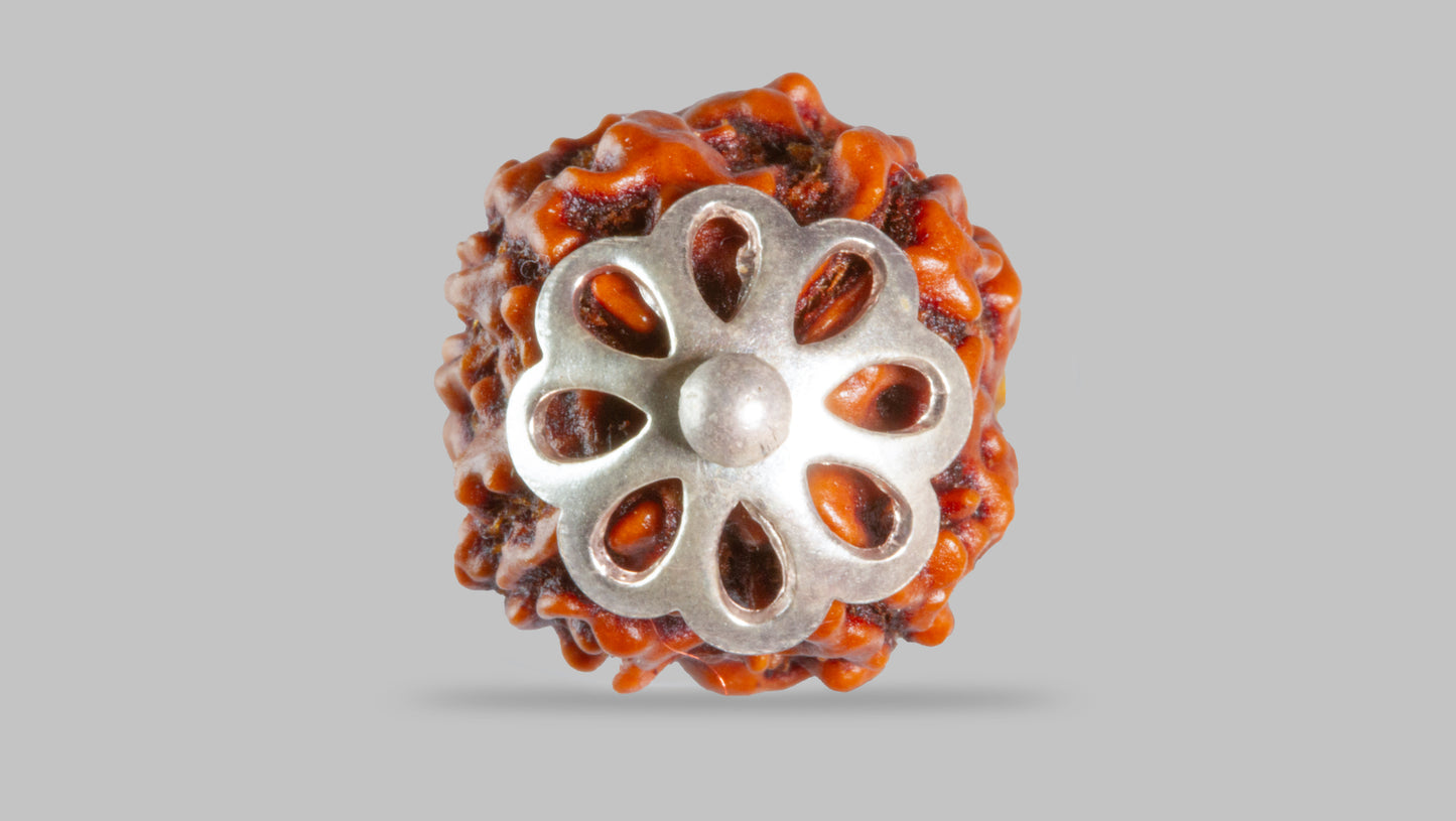 4 MUKHI RUDRAKSHA (18.40 mm)