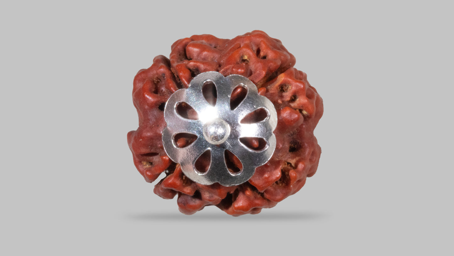 4 MUKHI RUDRAKSHA (18.70 mm)
