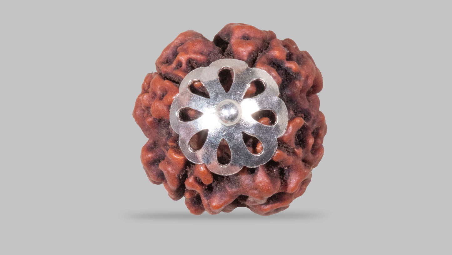 4 MUKHI RUDRAKSHA (18.15 mm)