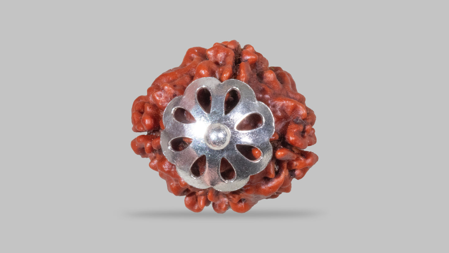 4 MUKHI RUDRAKSHA (17.65 mm)