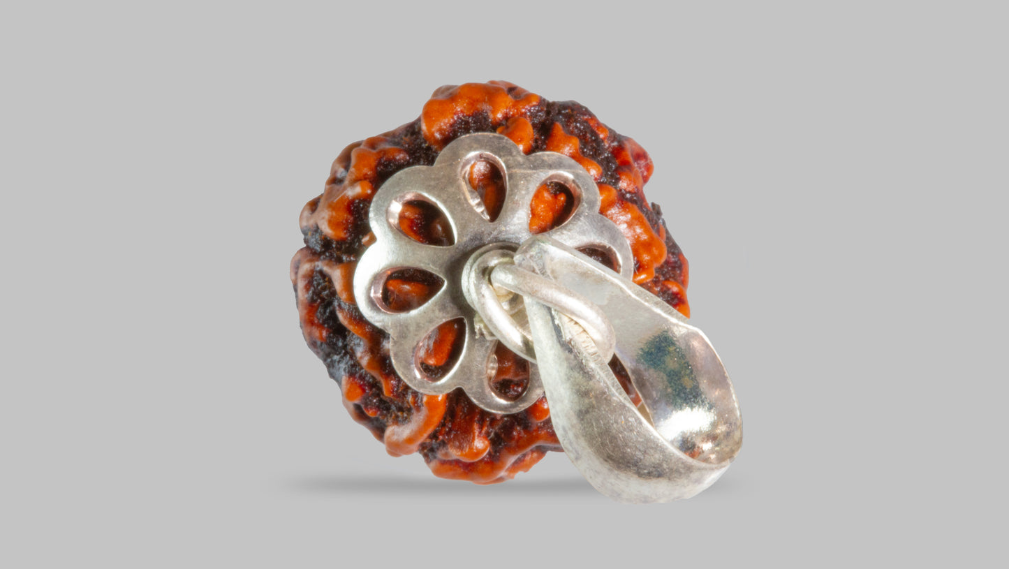 4 MUKHI RUDRAKSHA (18.45 mm)
