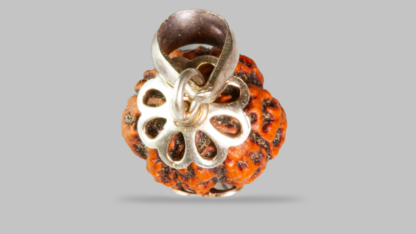 4 MUKHI RUDRAKSHA (16.08 mm)