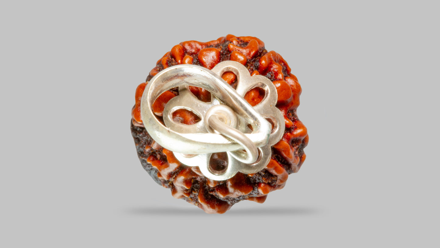4 MUKHI RUDRAKSHA (19.51 mm)