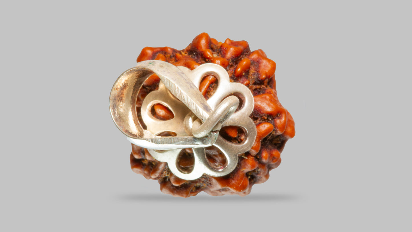 4 MUKHI RUDRAKSHA (18.57 mm)