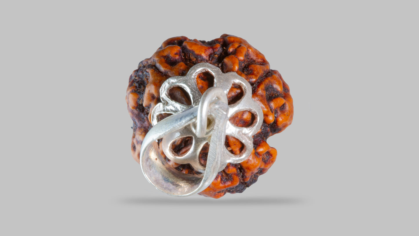 4 MUKHI RUDRAKSHA (20.16 mm)