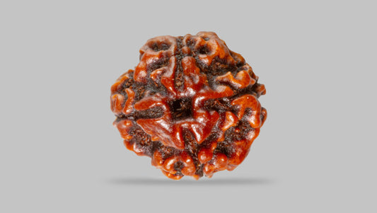 4 MUKHI RUDRAKSHA (16.05 mm)