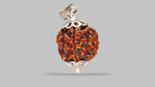 4 MUKHI RUDRAKSHA (20.23 mm)
