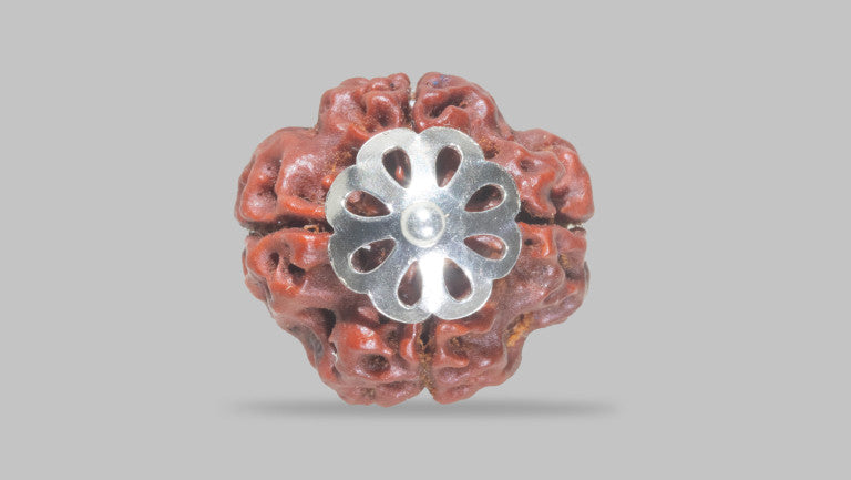 4 MUKHI RUDRAKSHA (20.05 mm)