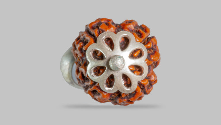 4 MUKHI RUDRAKSHA (18.93 mm)