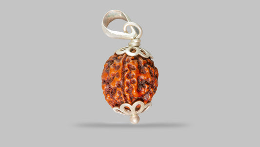 4 MUKHI RUDRAKSHA (19.75 mm)
