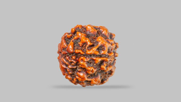 4 MUKHI RUDRAKSHA (18.92 mm)