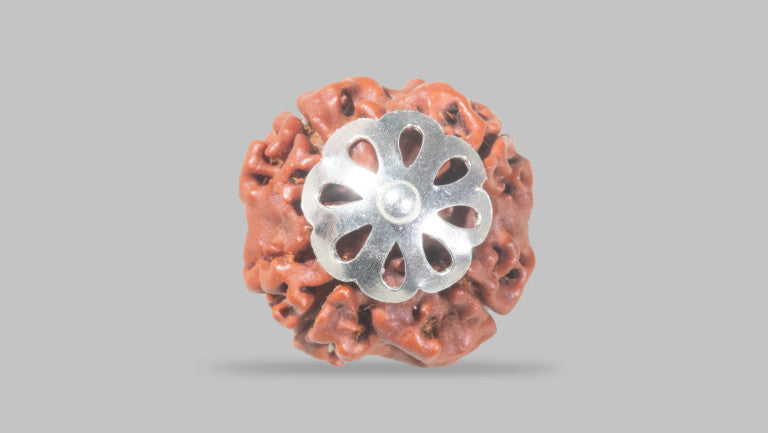 4 MUKHI RUDRAKSHA (17.87 mm)