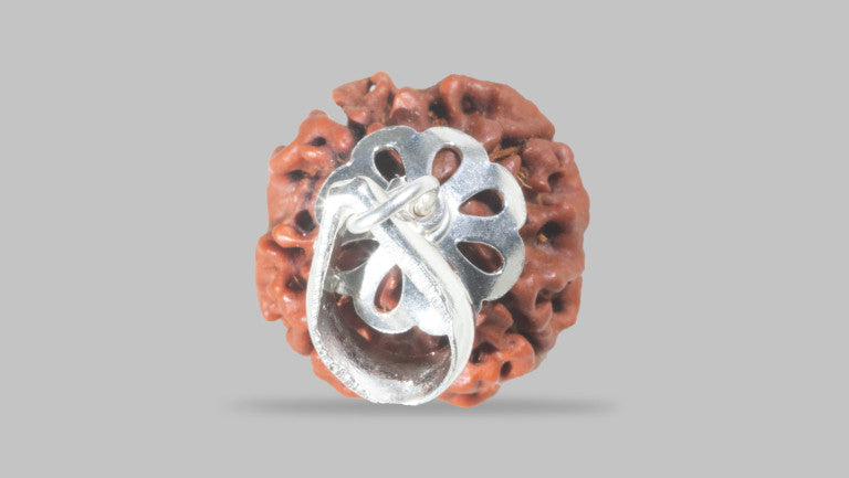 4 MUKHI RUDRAKSHA (17.87 mm)