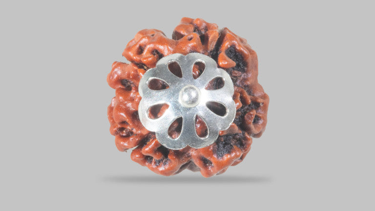 4 MUKHI RUDRAKSHA (18.80 mm)