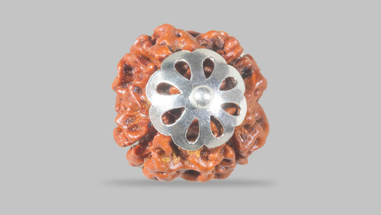 4 MUKHI RUDRAKSHA (17.71 mm)