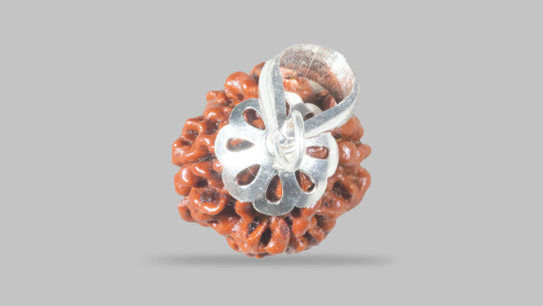 4 MUKHI RUDRAKSHA (17.71 mm)