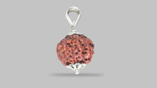 4 MUKHI RUDRAKSHA (20.05 mm)