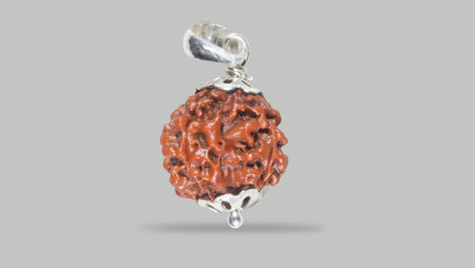 4 MUKHI RUDRAKSHA(18.96 mm)