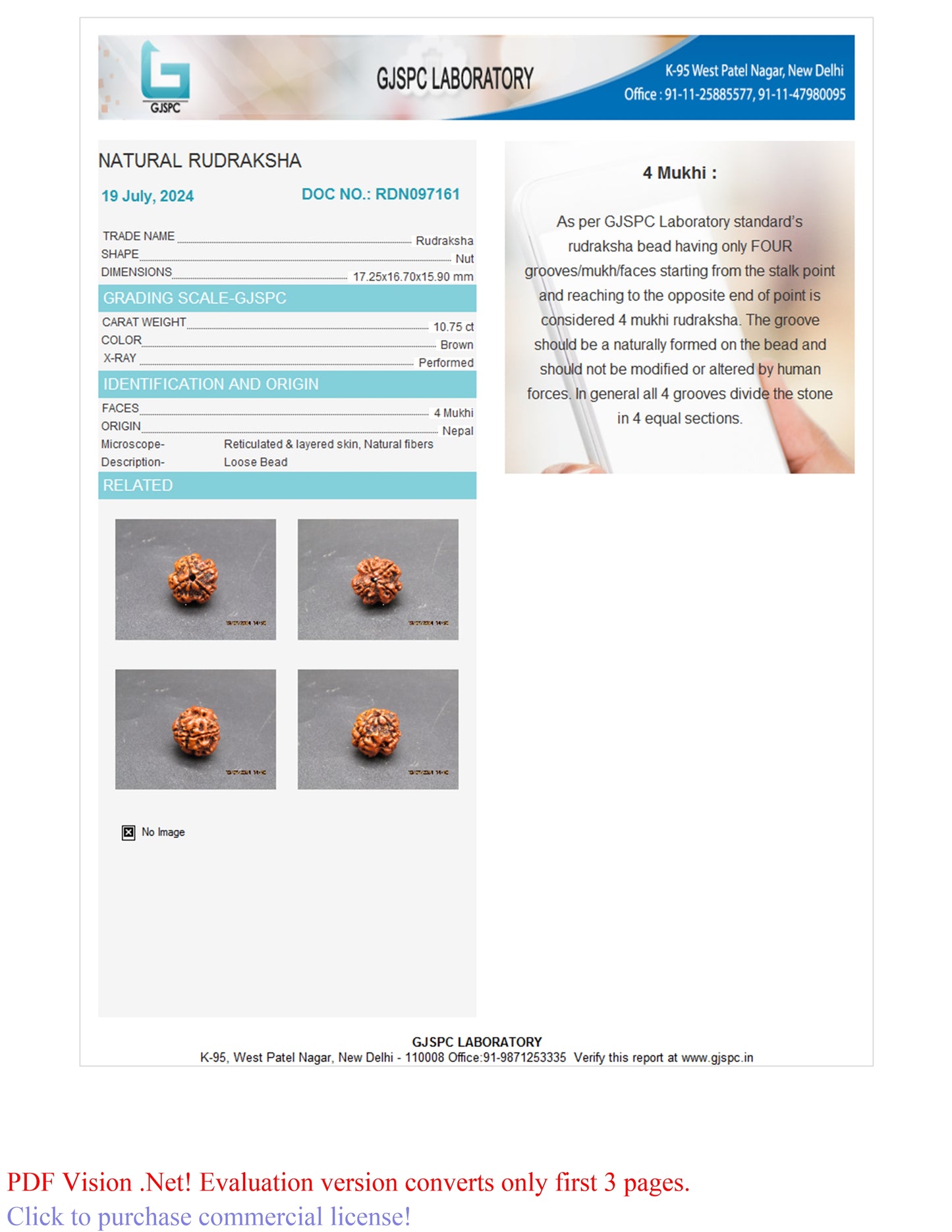 4 MUKHI RUDRAKSHA (17.25 mm)