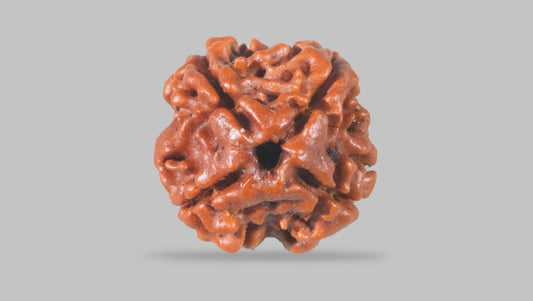 4 MUKHI RUDRAKSHA (17.15 mm)