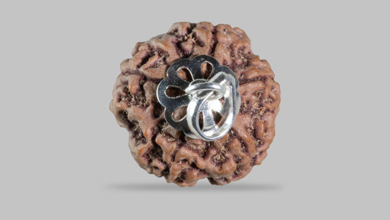 5 MUKHI RUDRAKSHA (22.85 mm)
