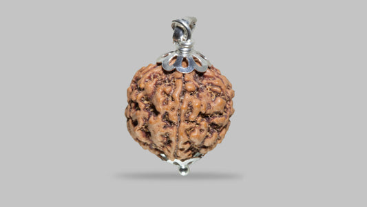 5 MUKHI RUDRAKSHA (22.40 mm)