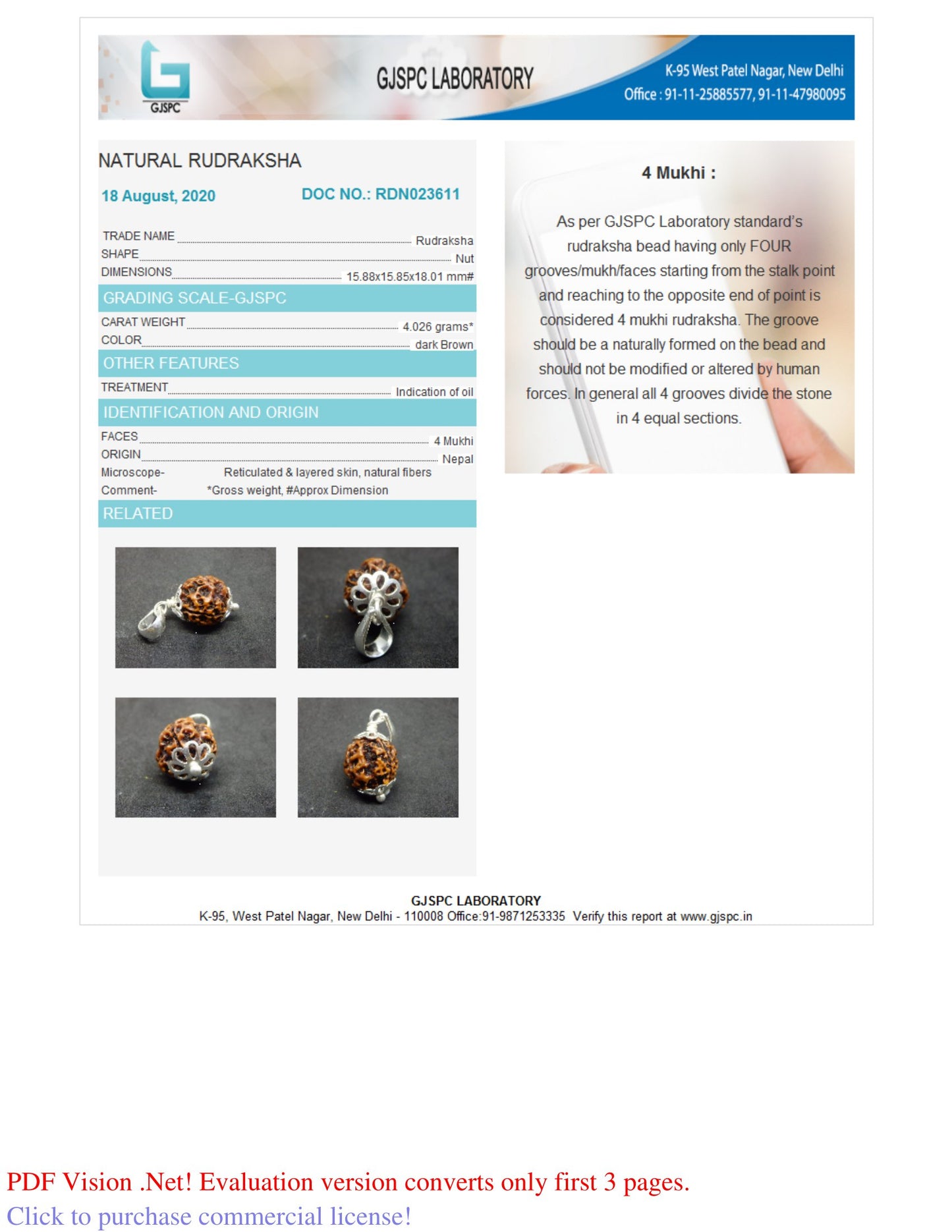 4 MUKHI RUDRAKSHA (18.01 mm)