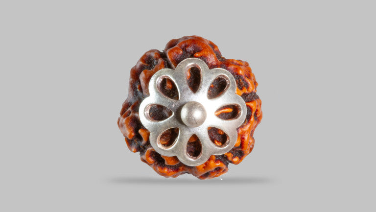 4 MUKHI RUDRAKSHA (18.01 mm)