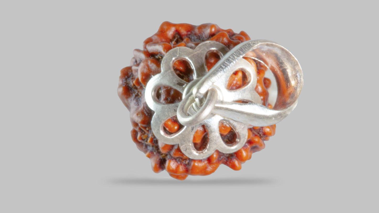 4 MUKHI RUDRAKSHA (18.40 mm)