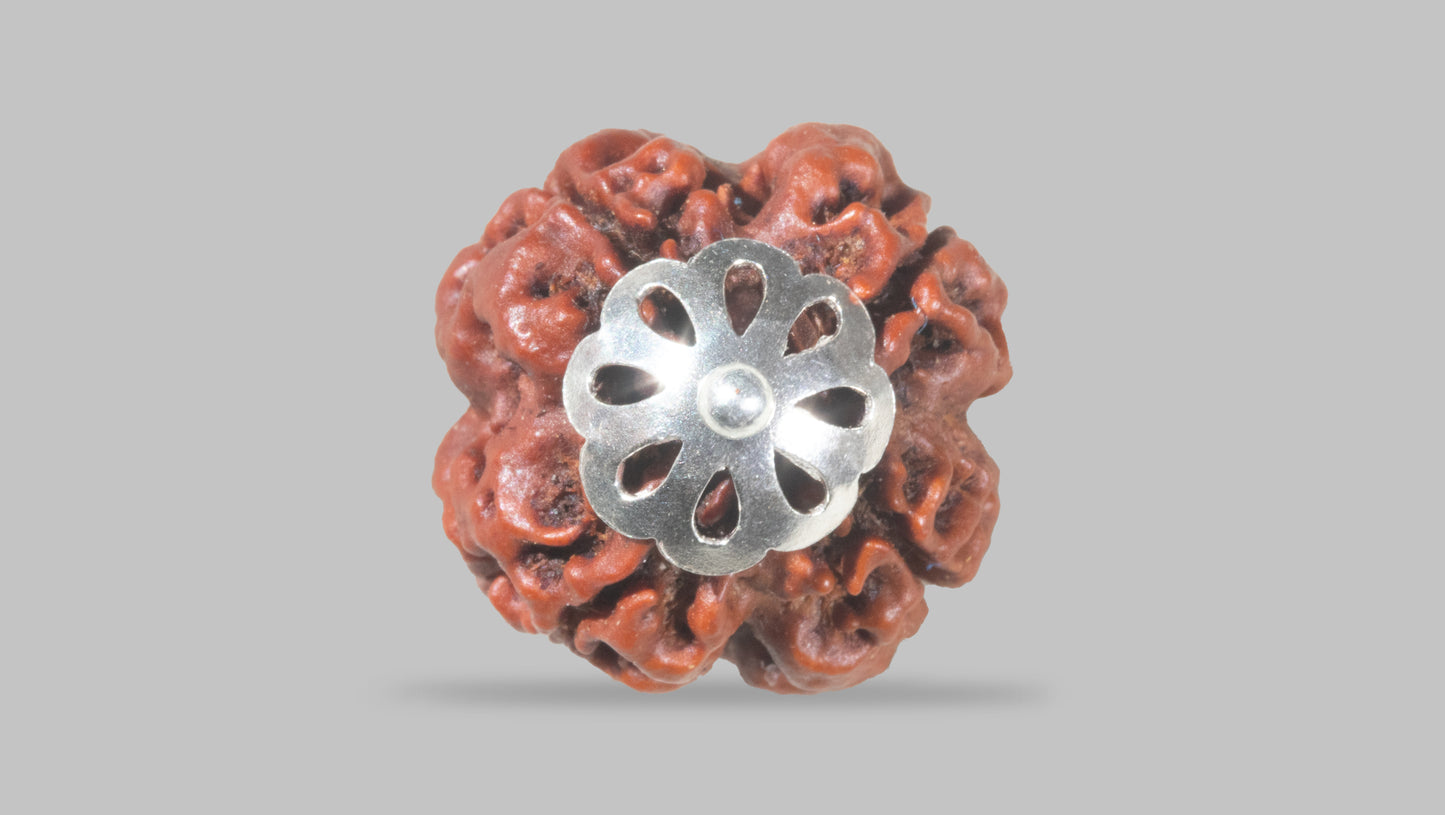 4 MUKHI RUDRAKSHA (19.95 mm)