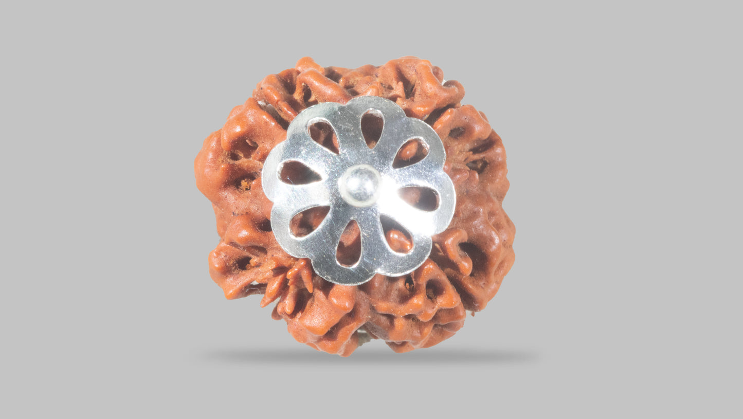 4 MUKHI RUDRAKSHA (19.05 mm)