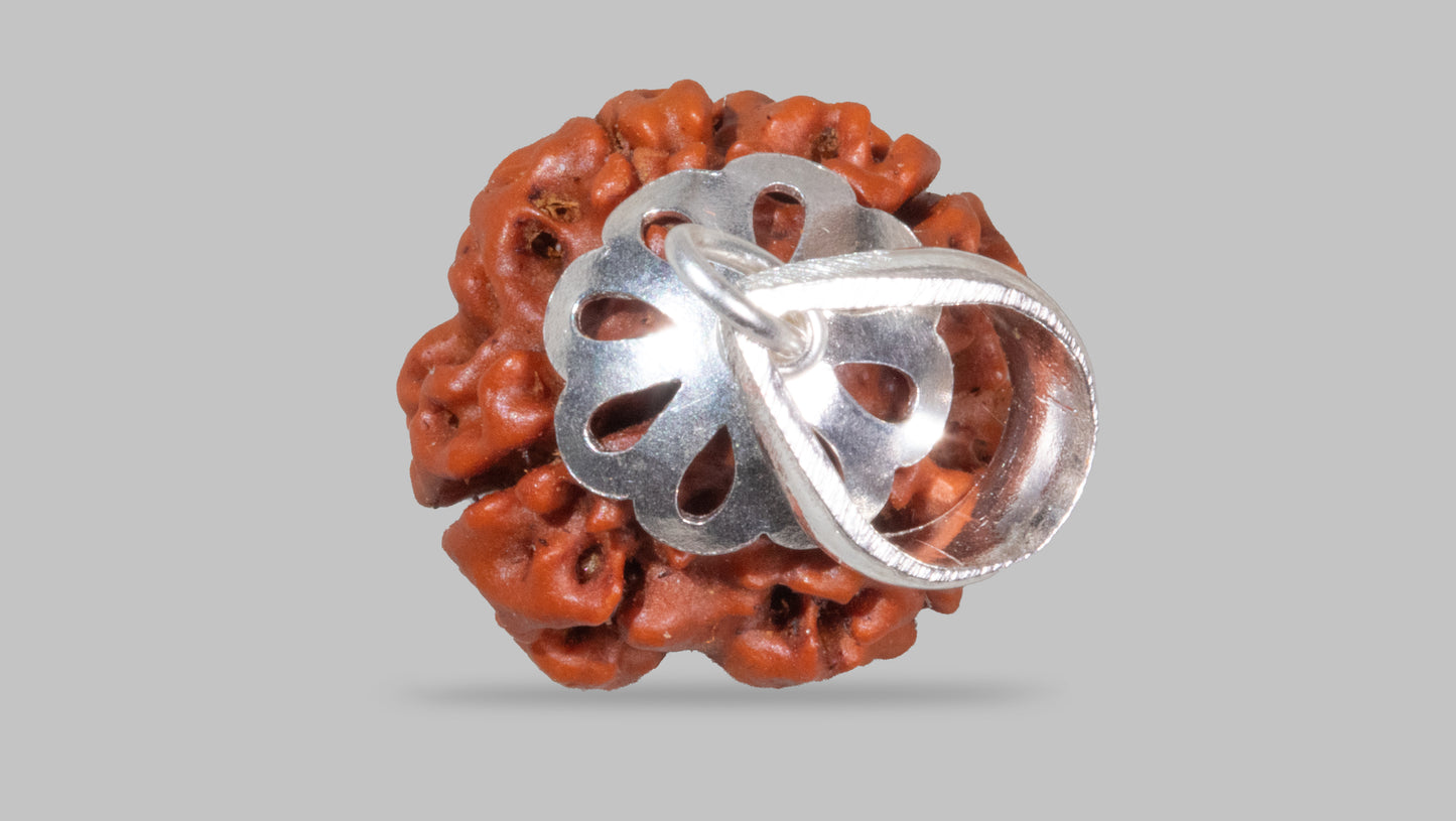 4 MUKHI RUDRAKSHA (17.52 mm)