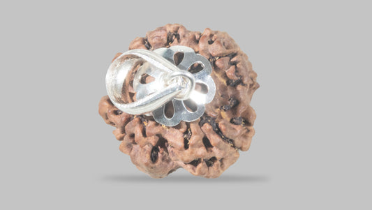 4 MUKHI RUDRAKSHA (21.30 mm)