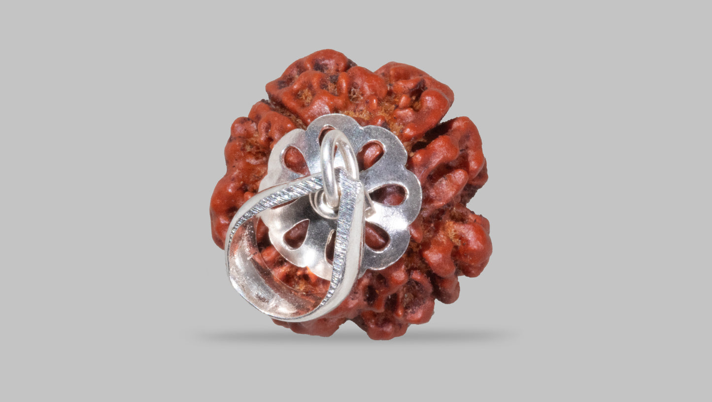 4 MUKHI RUDRAKSHA (18.90 mm)