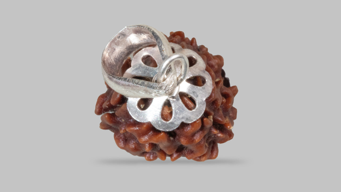 3 MUKHI RUDRAKSHA (21.57 mm)