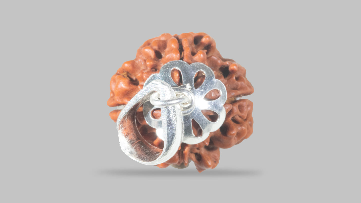 4 MUKHI RUDRAKSHA (19.05 mm)